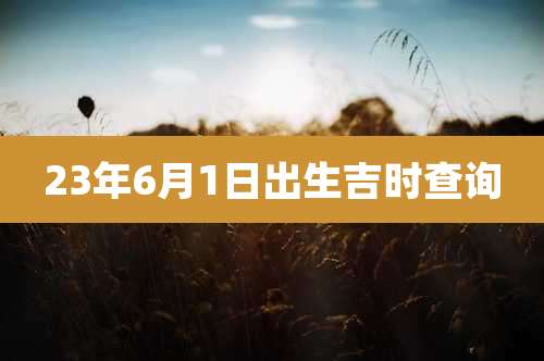 23年6月1日出生吉时查询
