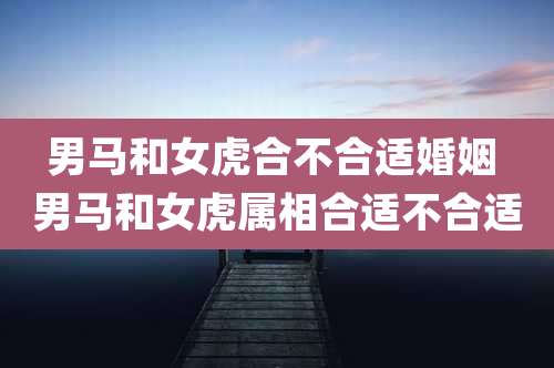 男马和女虎合不合适婚姻 男马和女虎属相合适不合适