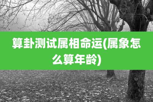 算卦测试属相命运(属象怎么算年龄)