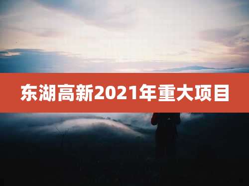 东湖高新2021年重大项目