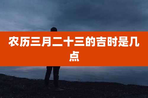 农历三月二十三的吉时是几点