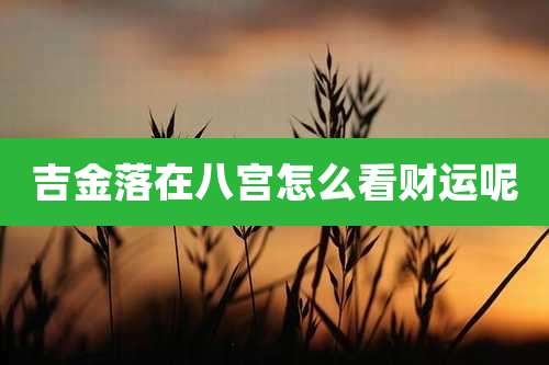 吉金落在八宫怎么看财运呢