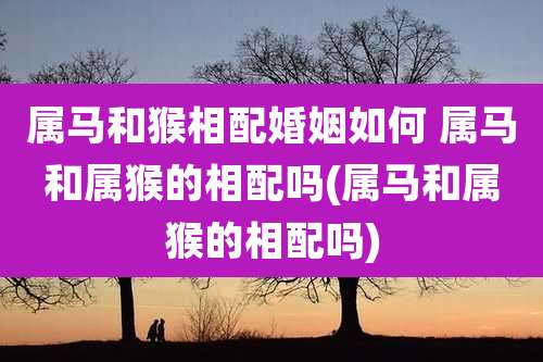 属马和猴相配婚姻如何 属马和属猴的相配吗(属马和属猴的相配吗)