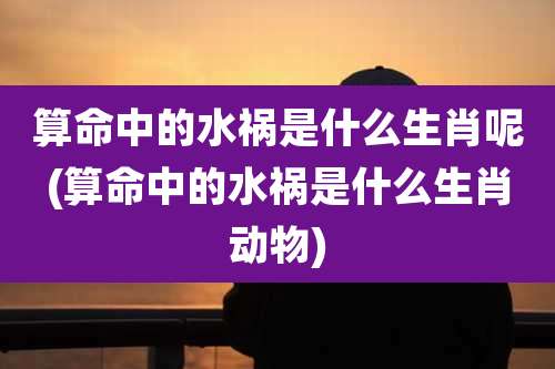 算命中的水祸是什么生肖呢(算命中的水祸是什么生肖动物)