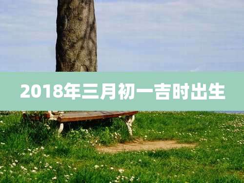 2018年三月初一吉时出生