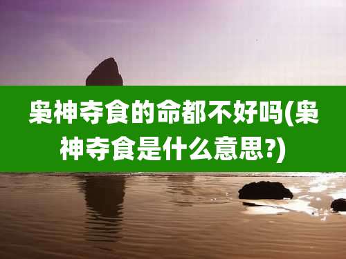 枭神夺食的命都不好吗(枭神夺食是什么意思?)