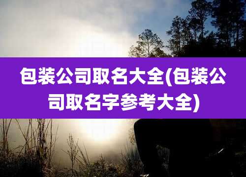 包装公司取名大全(包装公司取名字参考大全)