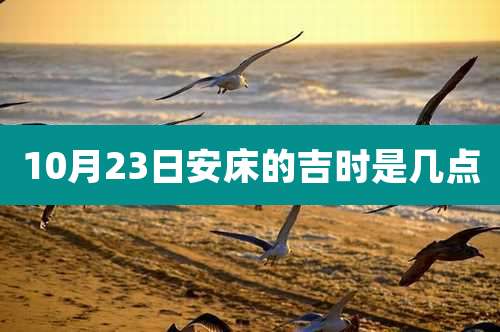 10月23日安床的吉时是几点