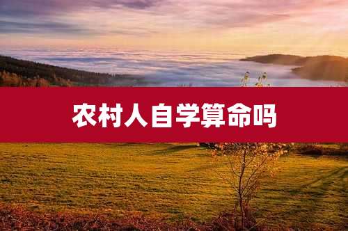 农村人自学算命吗