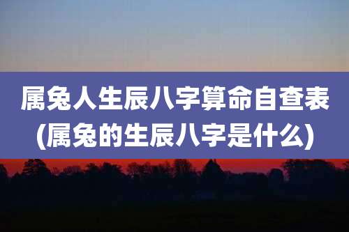 属兔人生辰八字算命自查表(属兔的生辰八字是什么)