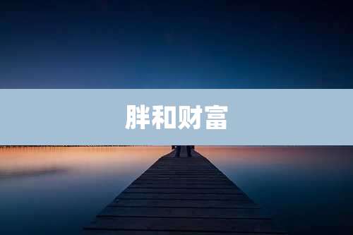 胖和财富