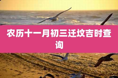 农历十一月初三迁坟吉时查询