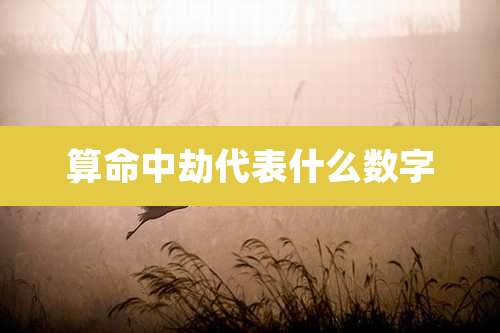 算命中劫代表什么数字