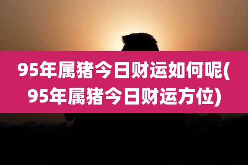 95年属猪今日财运如何呢(95年属猪今日财运方位)