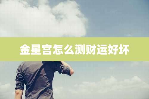 金星宫怎么测财运好坏