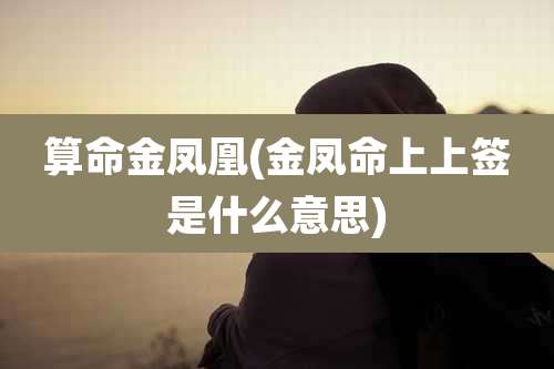 算命金凤凰(金凤命上上签是什么意思)