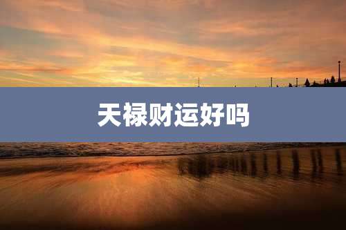 天禄财运好吗