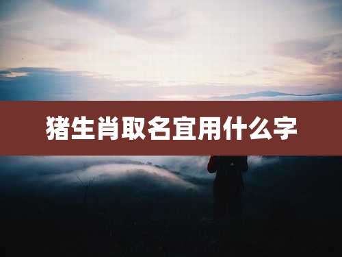 猪生肖取名宜用什么字