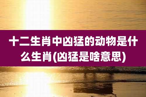 十二生肖中凶猛的动物是什么生肖(凶猛是啥意思)