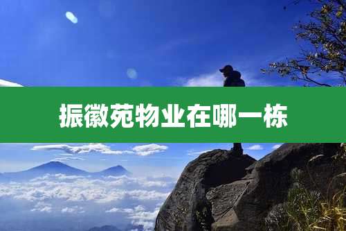 振徽苑物业在哪一栋