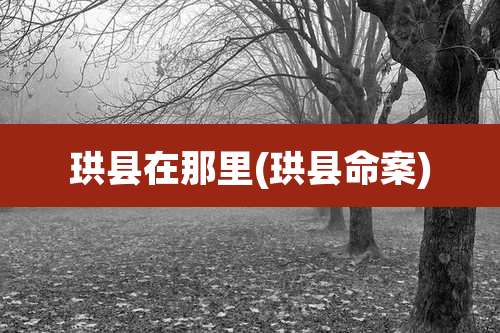 珙县在那里(珙县命案)