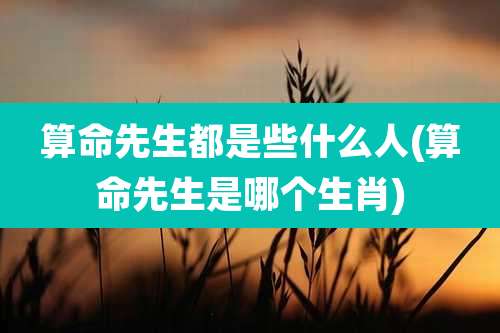 算命先生都是些什么人(算命先生是哪个生肖)