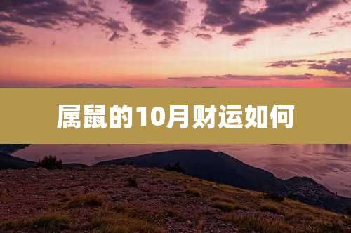 属鼠的10月财运如何