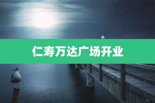 仁寿万达广场开业