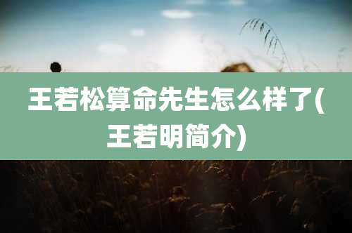 王若松算命先生怎么样了(王若明简介)