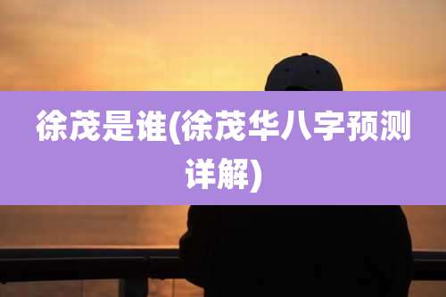 徐茂是谁(徐茂华八字预测详解)