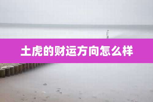 土虎的财运方向怎么样