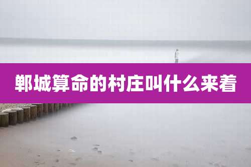 郸城算命的村庄叫什么来着