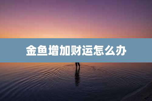 金鱼增加财运怎么办