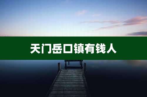天门岳口镇有钱人