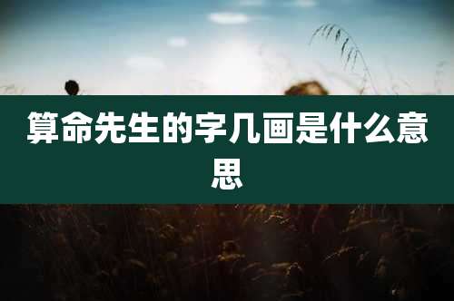 算命先生的字几画是什么意思