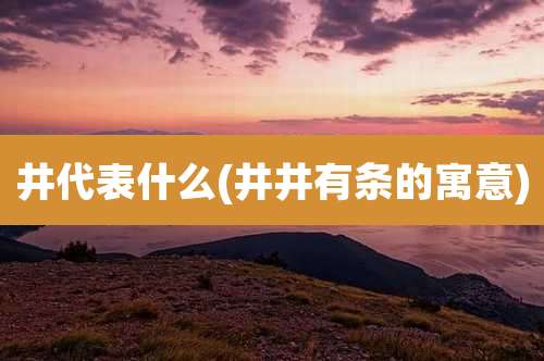 井代表什么(井井有条的寓意)