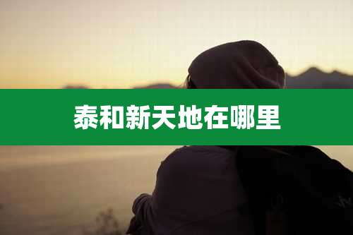 泰和新天地在哪里