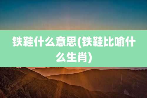 铁鞋什么意思(铁鞋比喻什么生肖)