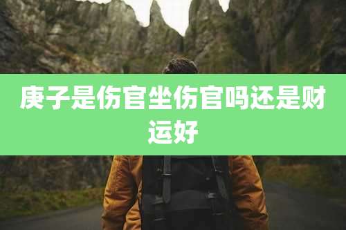 庚子是伤官坐伤官吗还是财运好