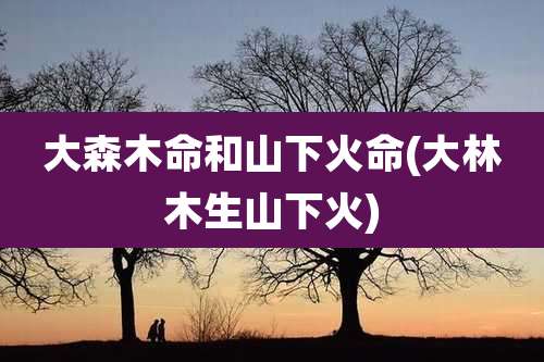 大森木命和山下火命(大林木生山下火)
