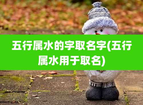 五行属水的字取名字(五行属水用于取名)