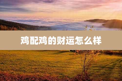 鸡配鸡的财运怎么样