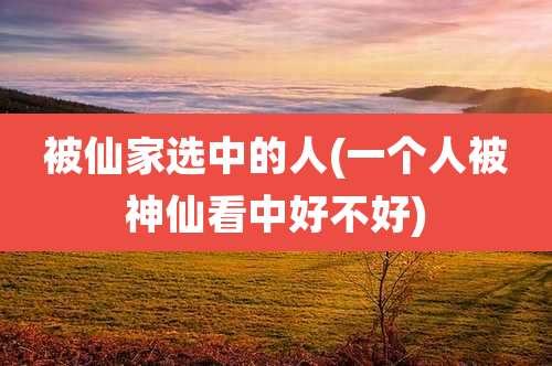 被仙家选中的人(一个人被神仙看中好不好)