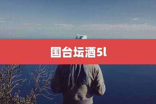 国台坛酒5l