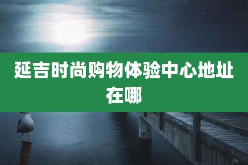 延吉时尚购物体验中心地址在哪