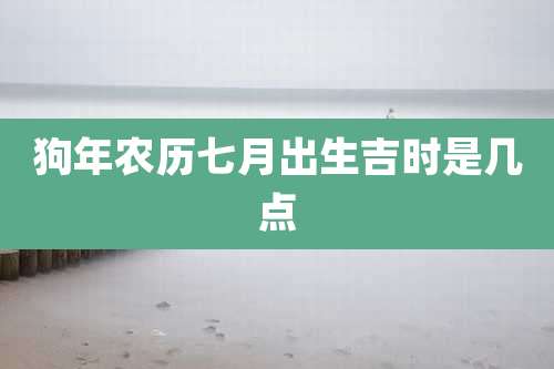狗年农历七月出生吉时是几点