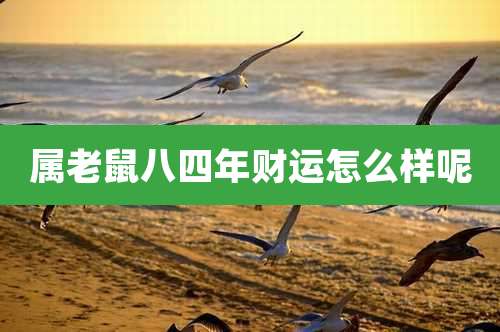 属老鼠八四年财运怎么样呢