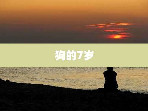 狗的7岁