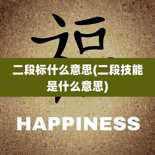 二段标什么意思(二段技能是什么意思)
