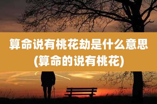 算命说有桃花劫是什么意思(算命的说有桃花)